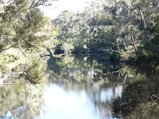 20080722 - Bream Fishing 8